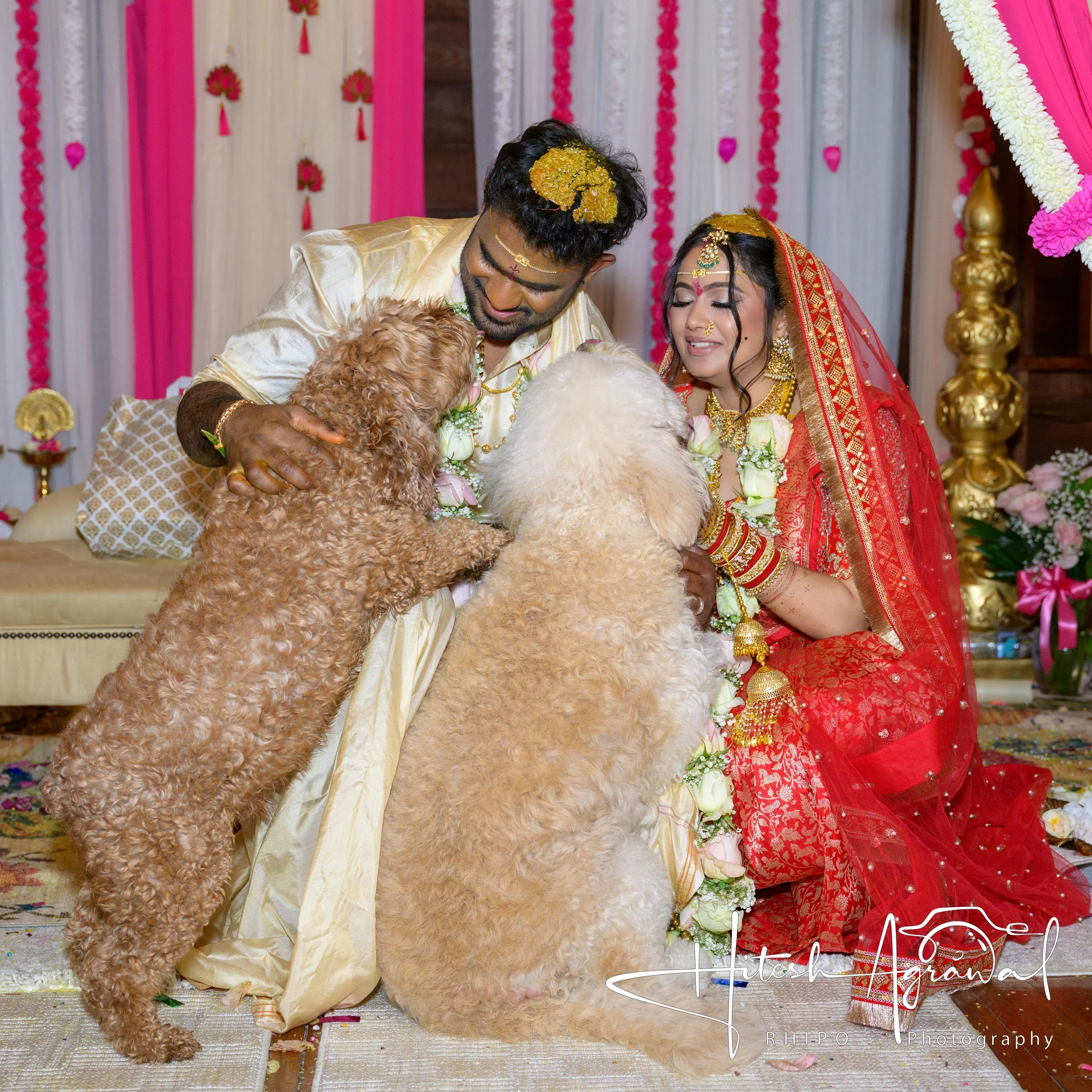 Sagarika & Shiva wedding photo 284