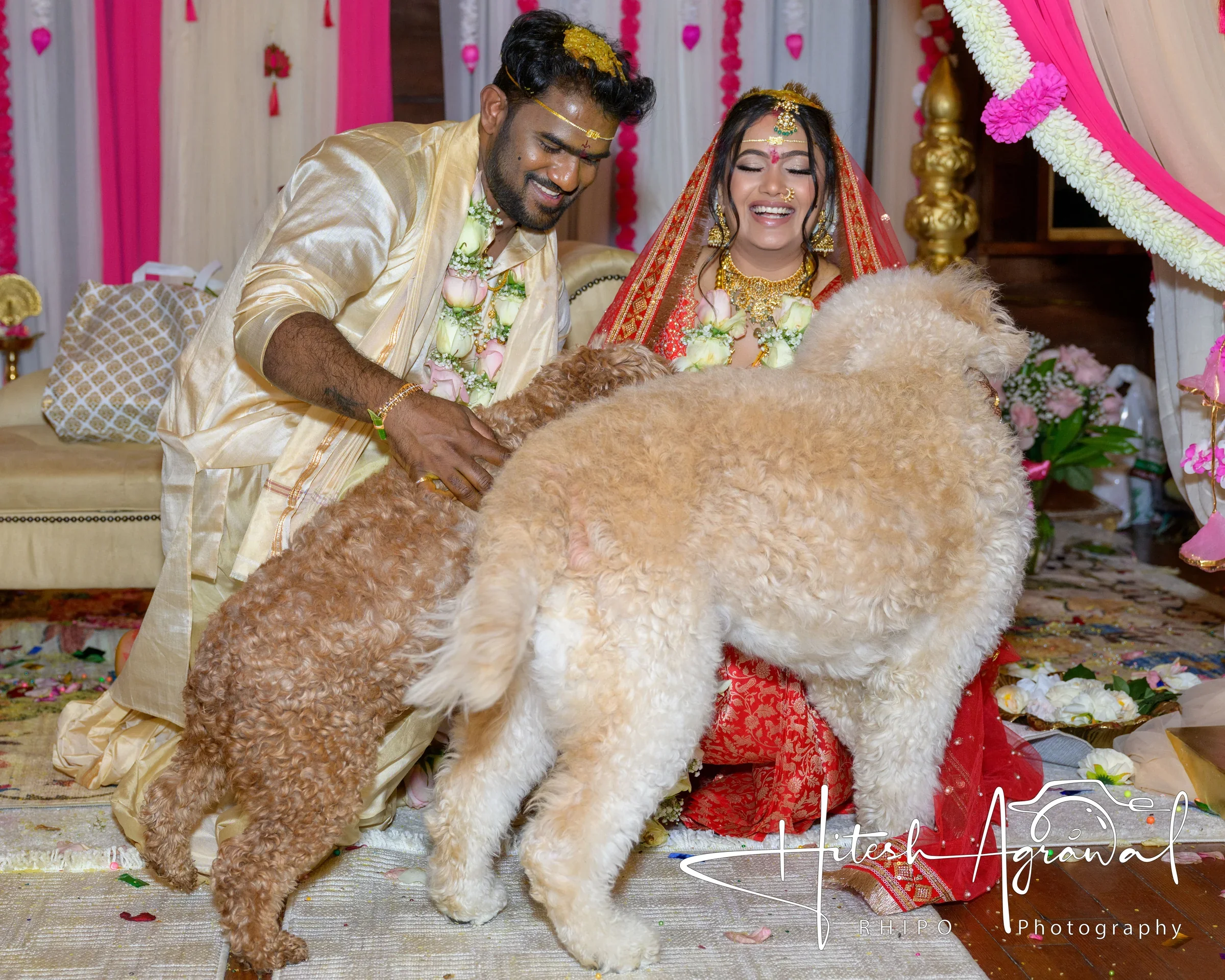 Sagarika & Shiva wedding photo 285
