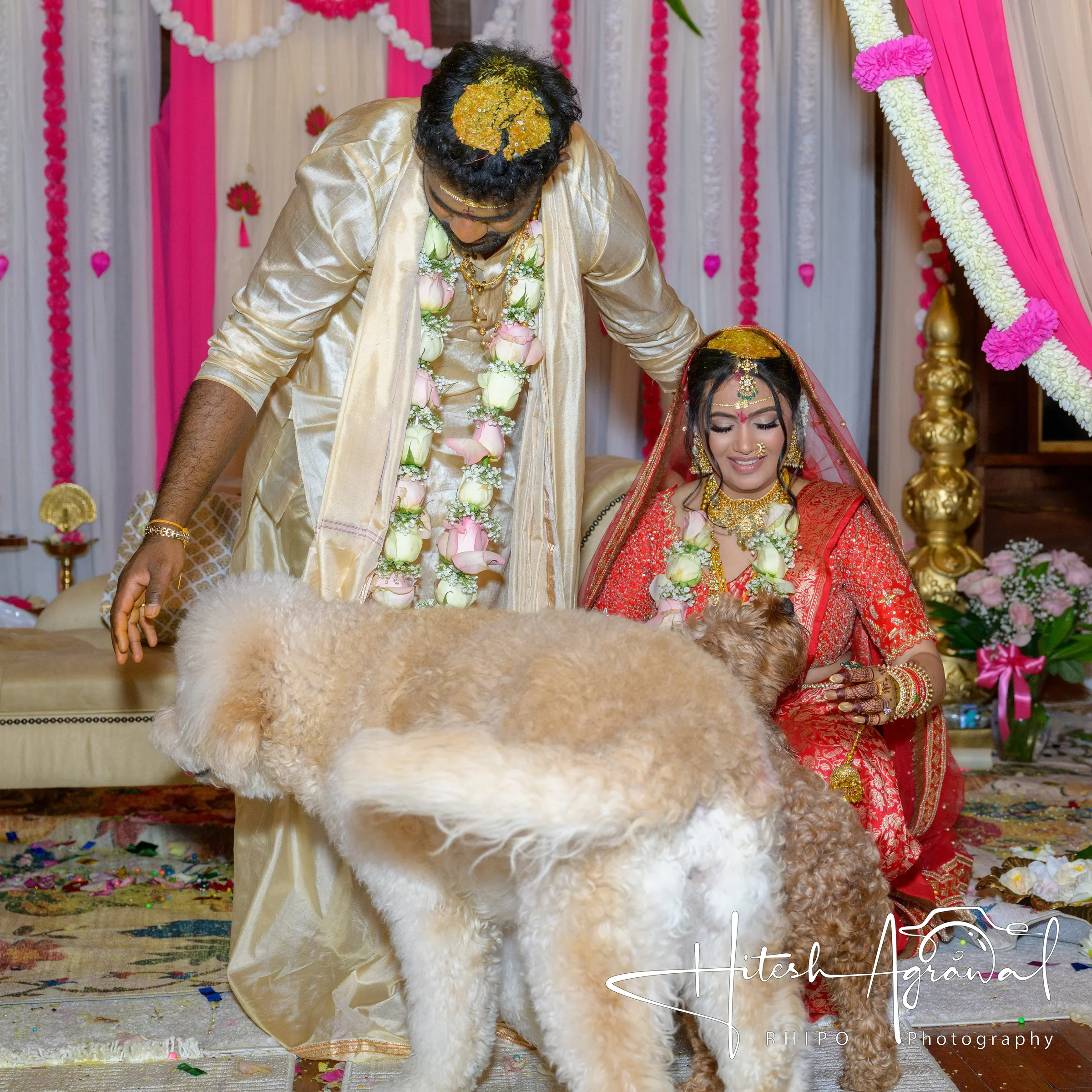 Sagarika & Shiva wedding photo 286